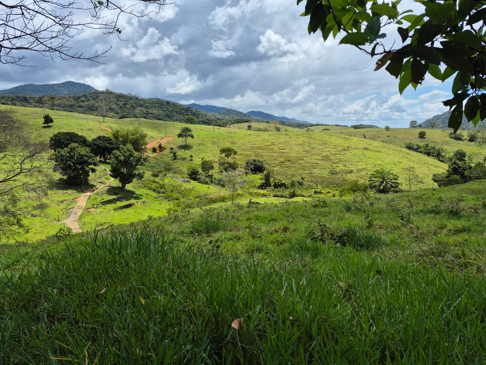 Propriedade Rural de Coaraci